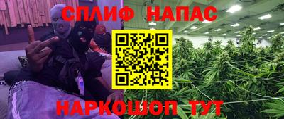 mdpv Можга